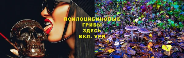 круглые Алексеевка