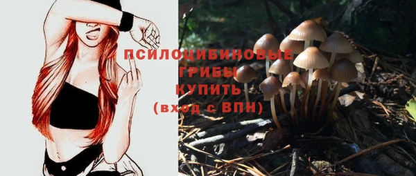 экстази Заводоуковск