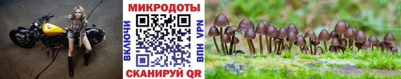 Псилоцибиновые грибы GOLDEN TEACHER  Алушта 